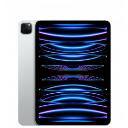 iPad Pro 4 11" 2TB WiFi + Cellular
